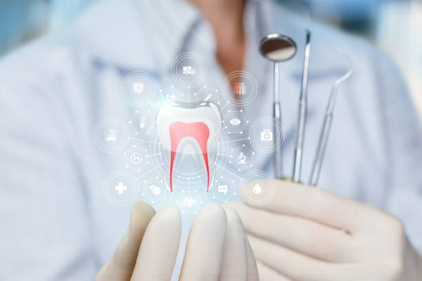 Best Emergency Dental Care  in Haines City, FL