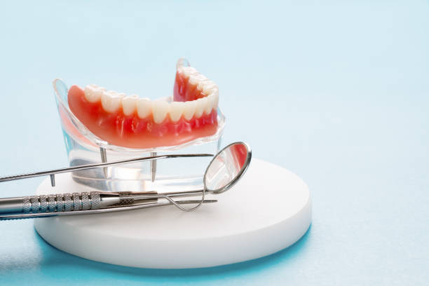 Trusted Haines City, FL  Holistic Dental Services Experts